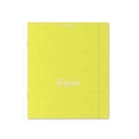 Тетрадь общая ученическая с пластиковой обложкой ErichKrause NEON, желтый, Физика, 48 листов, клетка