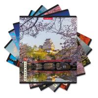 Тетрадь общая ученическая ErichKrause Mysterious Japan, 96 листов, клетка
