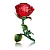 Декоративная фигурка из стекла Роза, красная, на метал подст со страз, 11см
