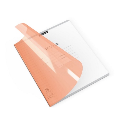 Тетрадь школьная ученическая с пластиковой обложкой ErichKrause Классика CoverPrо Neon, оранжевый, А5+, 18 листов, линейка